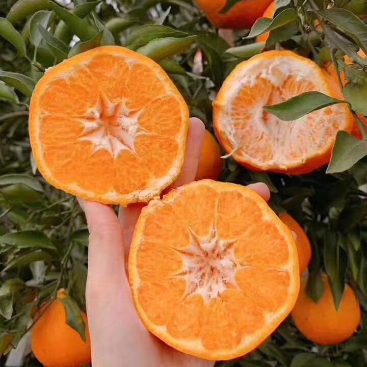 Увидимся весной