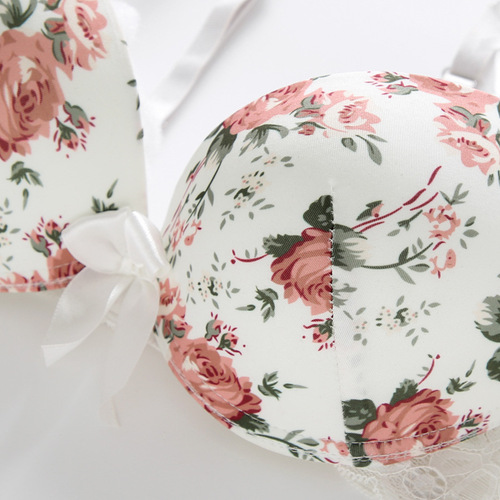 Cross-border foreign trade large cup printed underwear sexy European and American new lace bra set factory direct sales and dropshipping