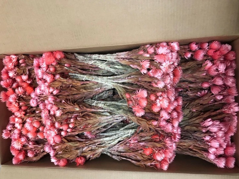 微信图片_20200410120026