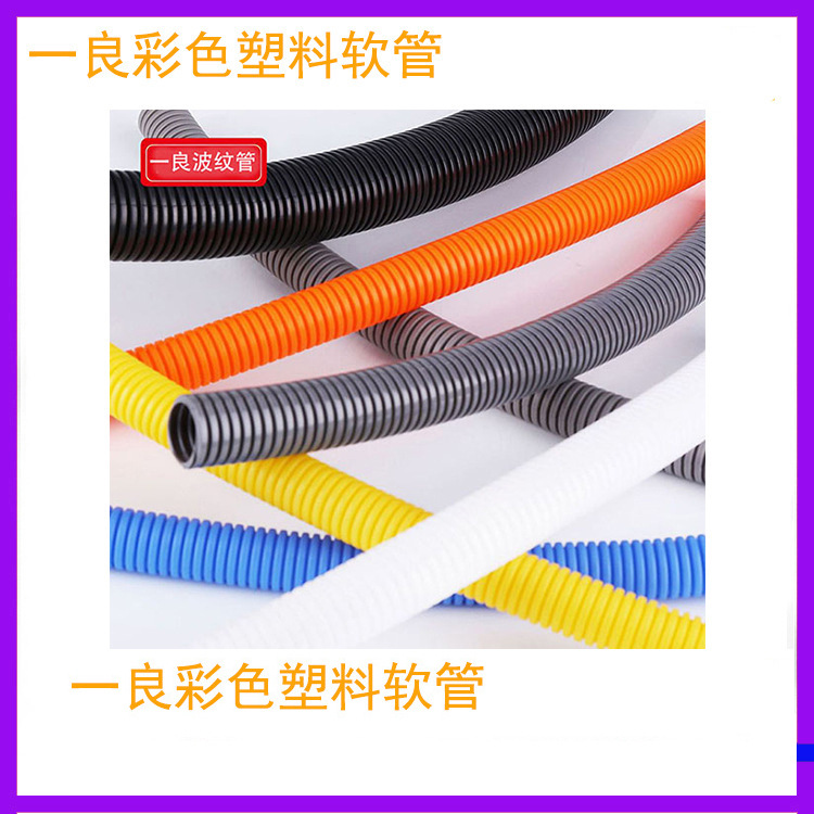 9982491456_2115358531