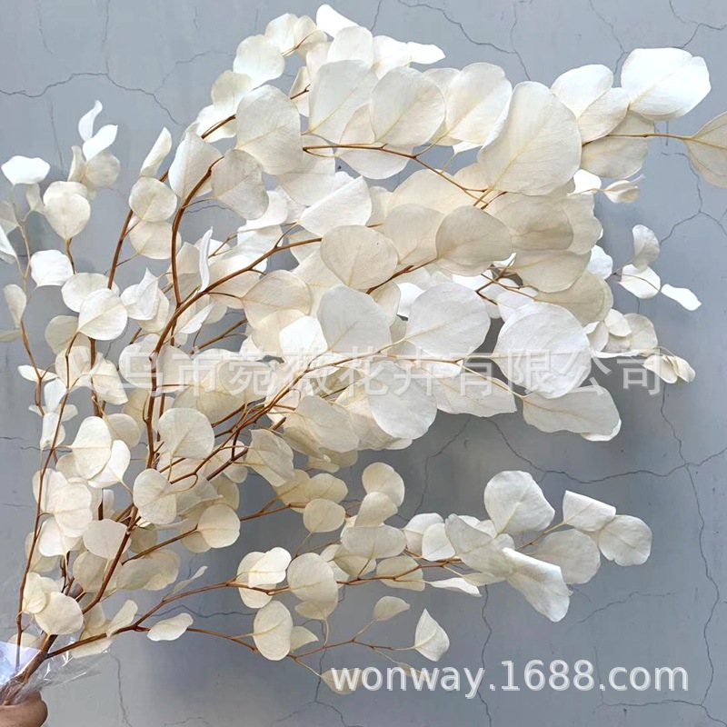 微信图片_20201116133309