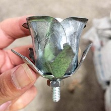 �S�����l С�^�������õ�廨 �����ř��Fˇ���õ�廨