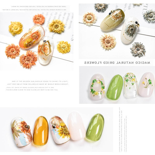 Nail art dried flowers 12 colors new set hydrangea narcissus daisy manicure stickers Japanese manicure accessories