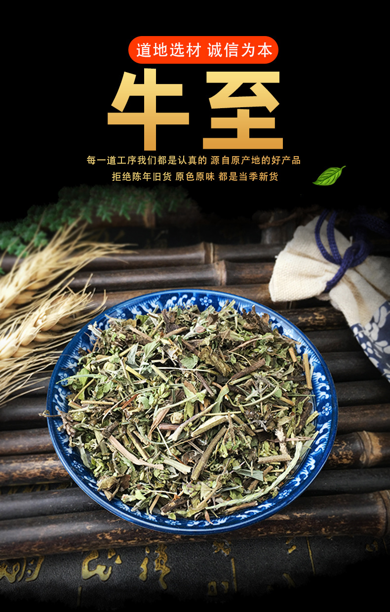 Dried Oregano Leaves 500g Bulk Pizza Herb for Western Culinary Seasoning key features