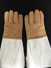 SlLţƤ늺׷wRĥ늺o