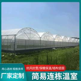 工厂直销连栋玻璃温室大棚 蔬菜种植温室大棚 智能玻璃温室大棚