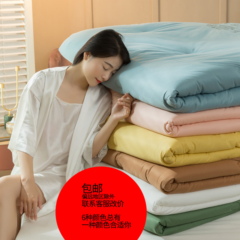 新款A类针织棉防螨抗菌功能性冬被绗缝春秋被加大加厚保暖盖被