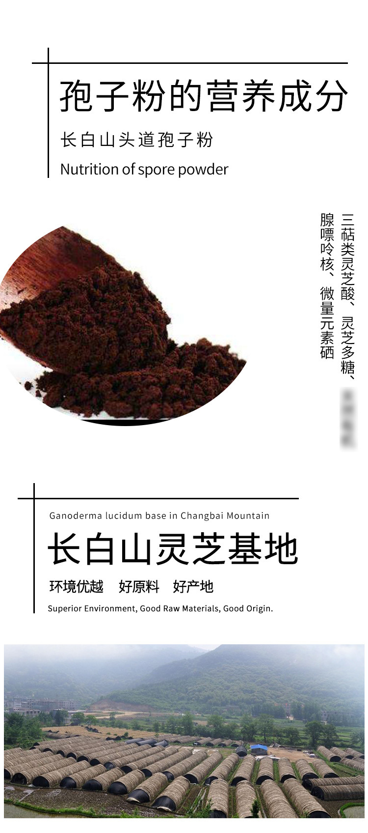 Reishi Mushroom Spore Powder 500g Gift Box Changbai Mountain Lingzhi Spore Powder key features