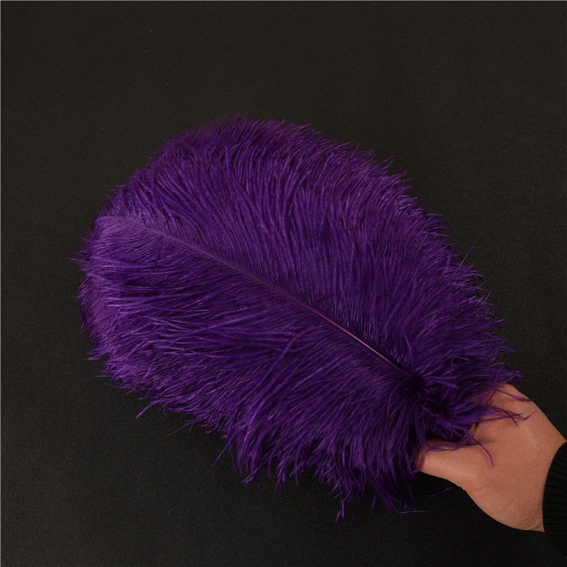 复制_批发鸵鸟毛50-80cm普通羽毛 婚庆插.jpg