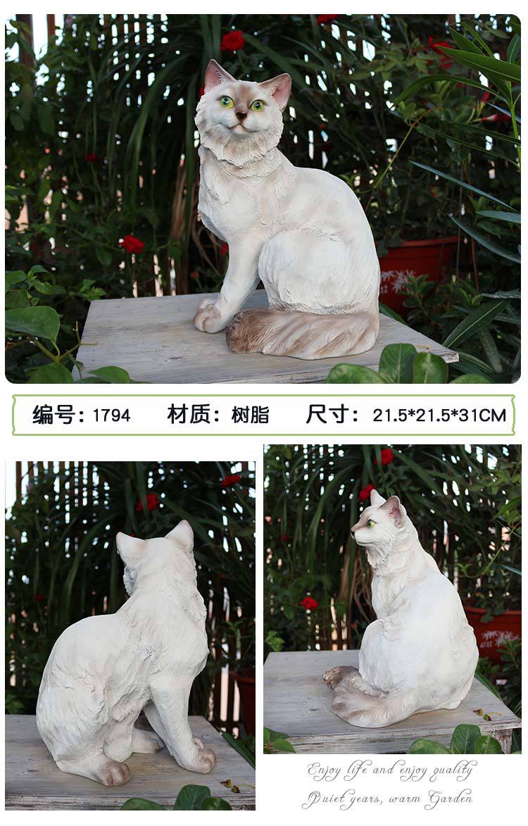 猫咪_11.jpg