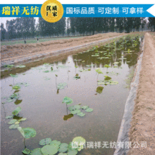 安徽水產養殖0.3mm土工膜 魚塘藕池泥鰍池蓄水池用防滲膜