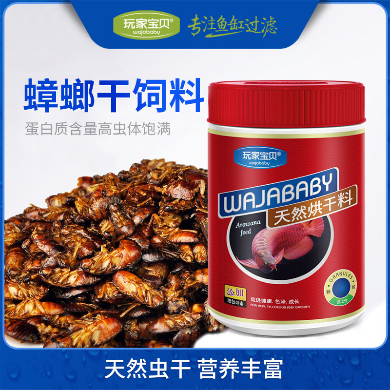 热带鱼饲料