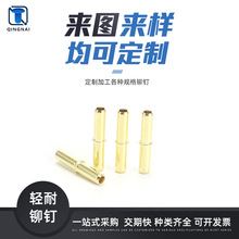 机械工业用紧固件黄铜铆钉 圆孔铜针/直管插管状空心针