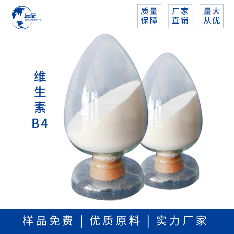 现货供应  维生素B4  营养强化剂  氯化胆碱 增蛋素