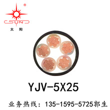 廠家直供電力電纜 YJV-5*25 銅芯現貨 0.6/ＫＶ低壓阻燃電纜