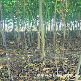 ɽ�|������ 2���ִ����㴻��r�� ����Ҏ��ȫ 1��-2���㴻����