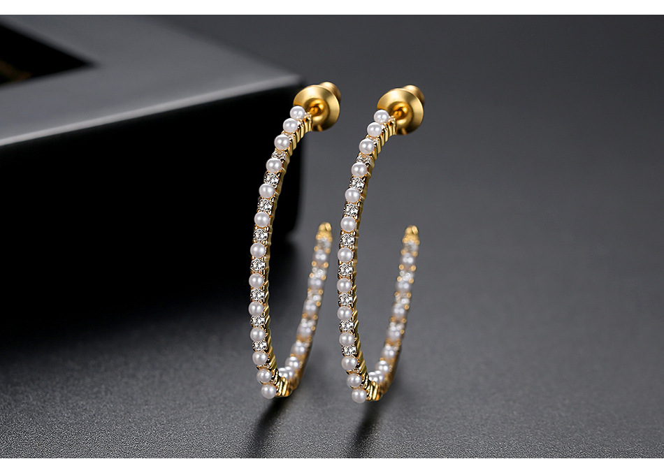 Earrings Fashion Ladies Banquet Pearl Copper Inlaid Zirconium Earrings Earrings Gift display picture 2