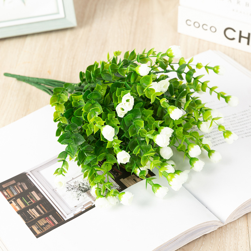 19987270024_466098134