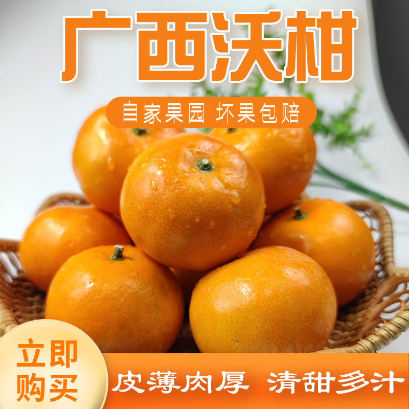 Guangxi Orchard wholesale fruit And sell fruit Place of Origin Straight hair support One piece On behalf of