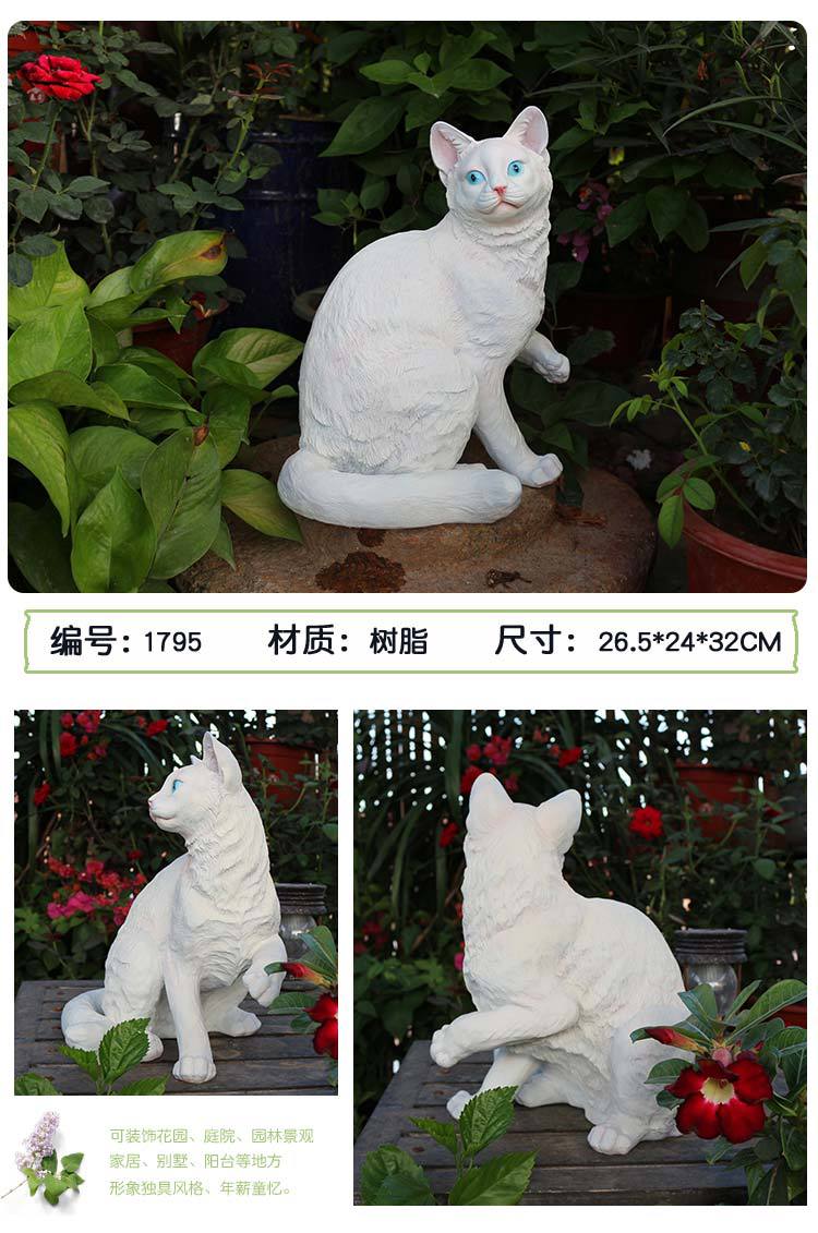 猫咪_12.jpg