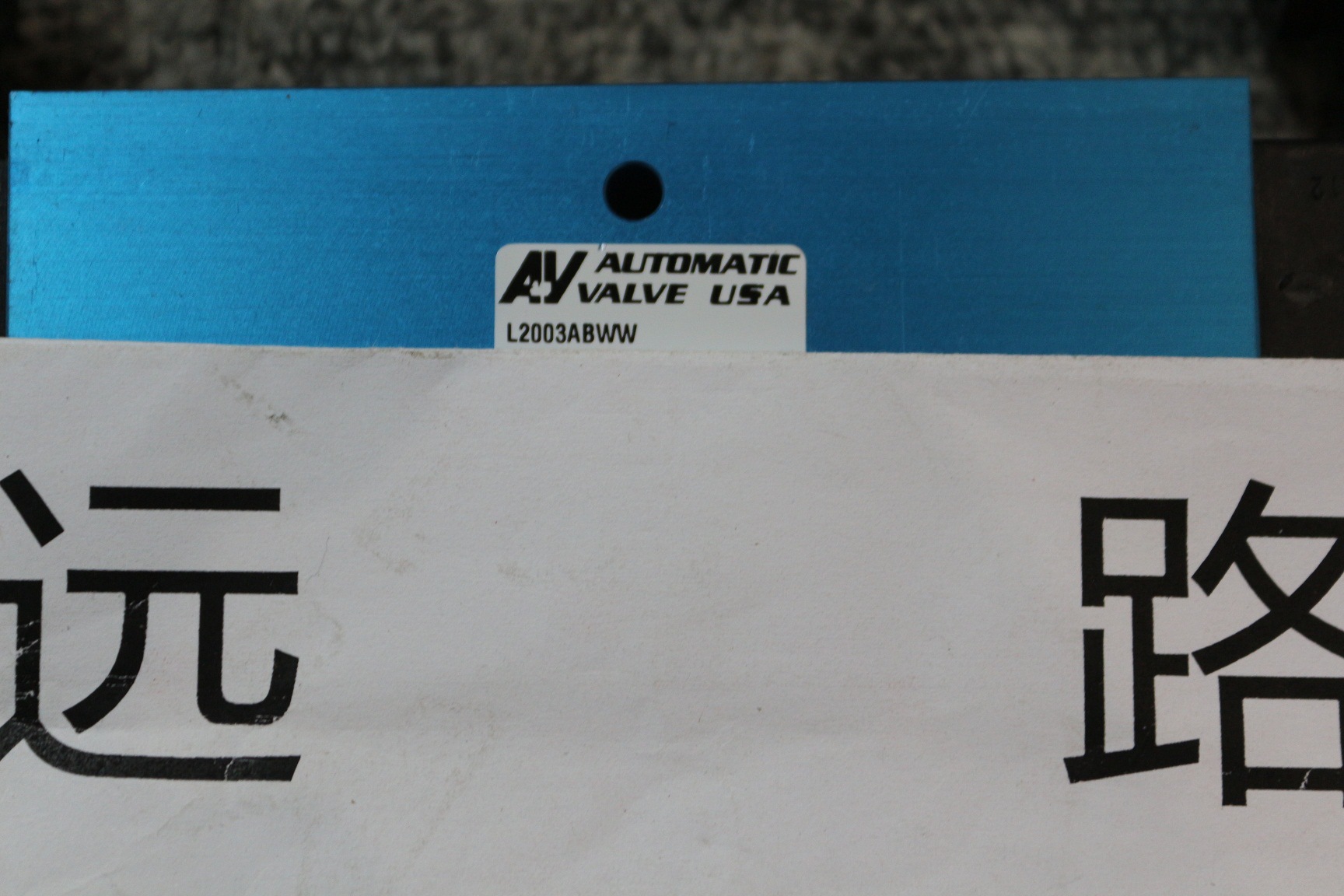 美国AV电磁阀L4505ABWW-AAY