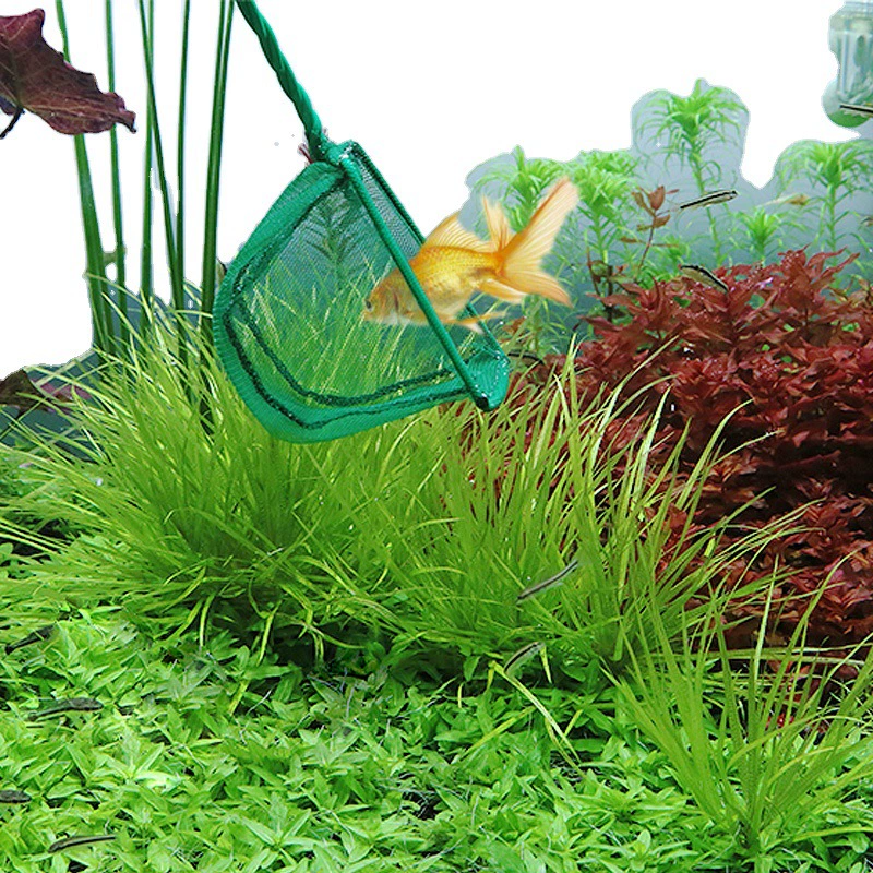 Японские производители прямая булавка для аквариума рыболовная сеть квадратная рыболовная сеть ручной работы декоративная рыба Золотая рыбка копировальная сеть аквариумная рыболовная сеть