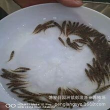 ⴽ~ ʯ~ ˮʯ~ ~l ˮ~繩