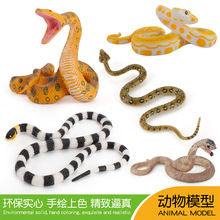仿真野生动物蛇类模型黄金大蟒蛇眼镜蛇珊瑚蛇儿童科教认知摆件