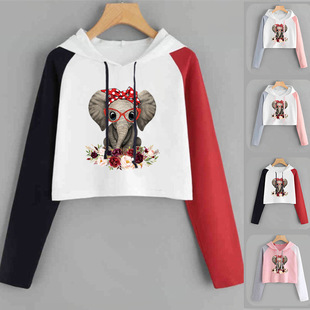 ���uͨŮ�b�＾�Bñ�L�� ײɫ�l���R�dWISH����վEBAY�W��