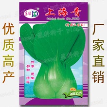 厂家大量批发上海青种子四季小青菜油菜种籽盆栽易种蔬菜种子6.5g
