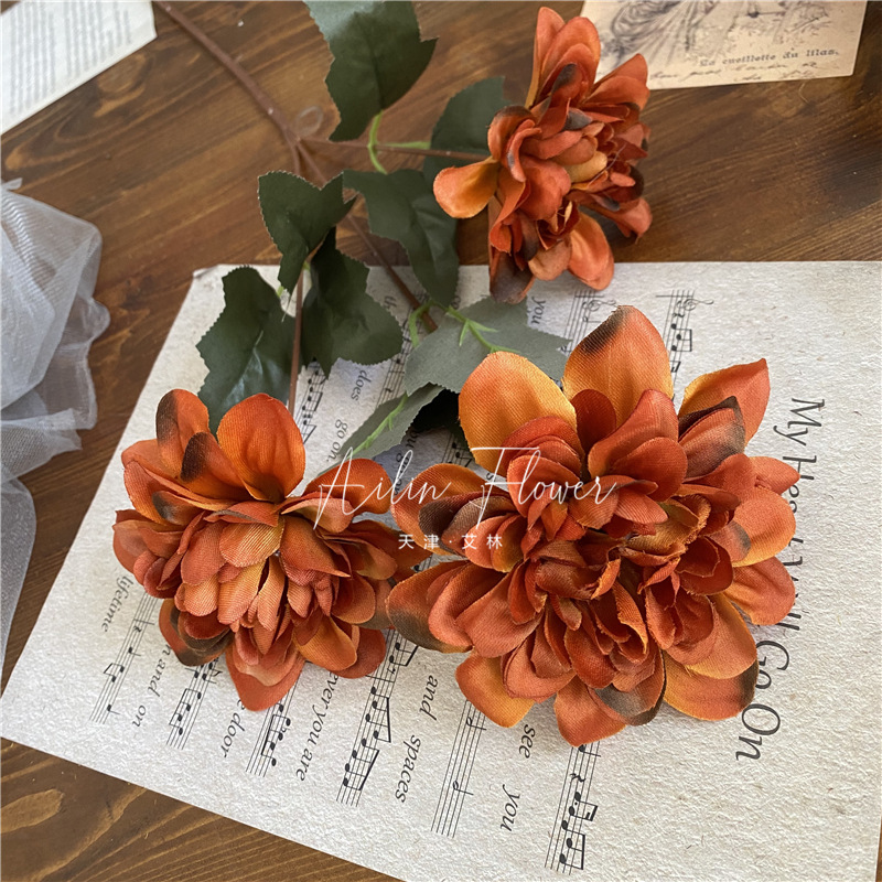 3 autumn colorful flowers