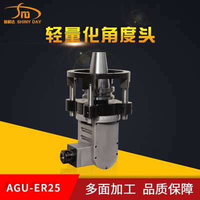 万向角度头 加工中心 侧铣头 BT5040-ER32铣头 直角铣头 龙门铣头|ms