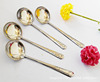 Magnetic oil spoon Jieyang rose spoon small spoon small tone