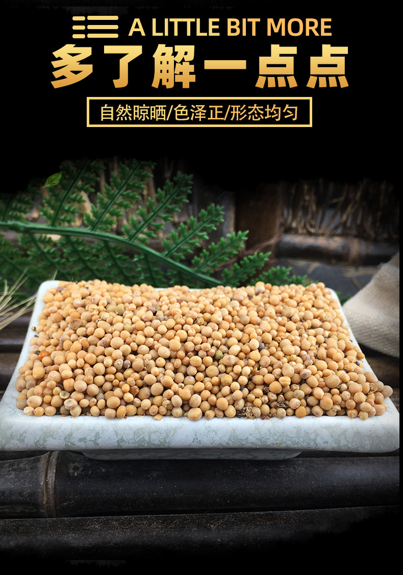 White Mustard Seed Bai Jie Zi 500g Dried Sinapis Alba Seeds Bulk Herbal Ingredient key features