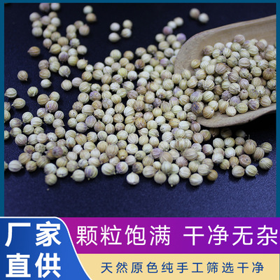 香菜籽香菜芜荽籽飘香籽新品优质色选少杂物火锅料香料卤料500克