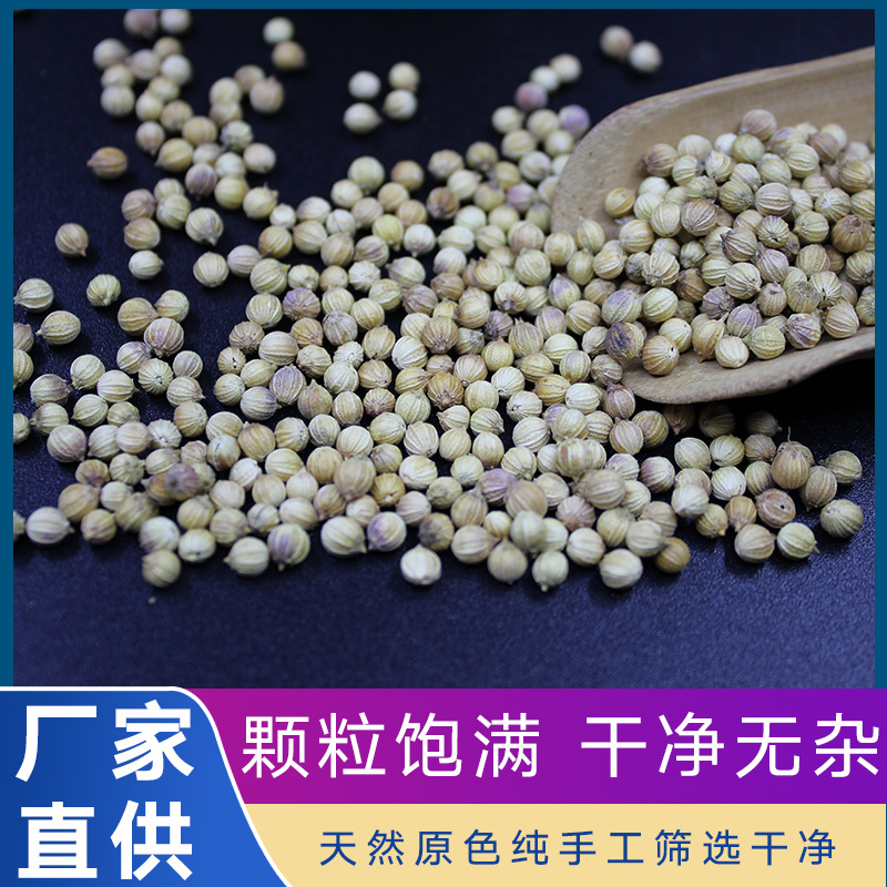 香菜籽香菜芜荽籽飘香籽新品优质色选少杂物火锅料香料卤料500克