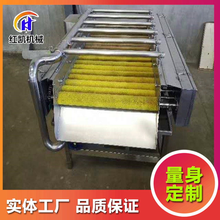 粽叶苇叶双层毛辊清洗机 高压喷淋粽叶清洗机 粽叶清洗机