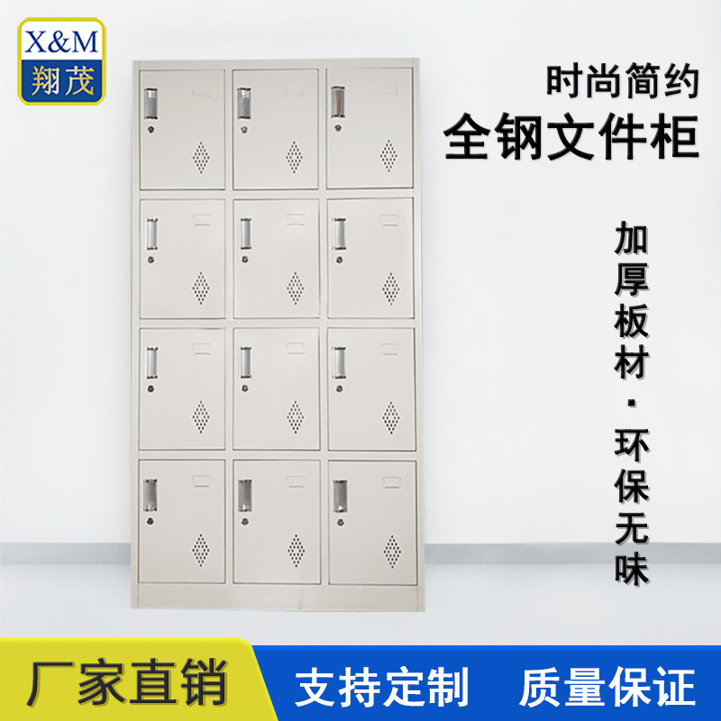 簡約十二門更衣櫃 辦公室員工更衣櫃 商場儲物櫃 廠家直銷可定制