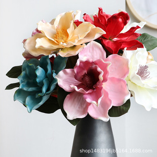 ���uͨ�¿����m����ľ�޻��ٻ��󻨶��̈���c�͏d�b��������l