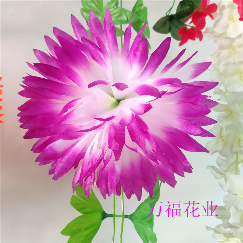 新建文件夹 (2)IMG_20200515_141404.j