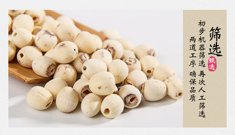 White Lotus Seeds Bai Lian Zi 500g Coreless Dried Nelumbo nucifera Seeds for Soup Congee and Herbal Cooking quality and texture