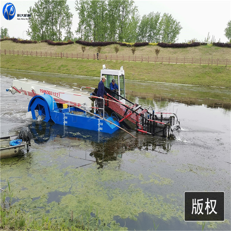 山东工厂水葫芦打捞船 全自动水草清理船 水花生水浮莲打捞船厂家