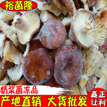 ��ԣ��¡�� �̝{����Ʒ ��偵�Ƶ�ʳ�� �̝{�����l Ұ������Ʒ