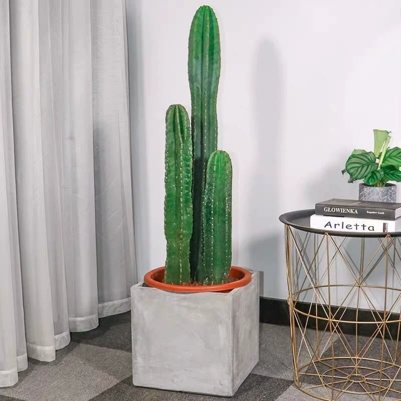 Бессмертные столбы имеют корни, измеряя небесные ноги и базу теплицы для мяса, сейчас копают красивое внутреннее украшение, создавая художественные цветы