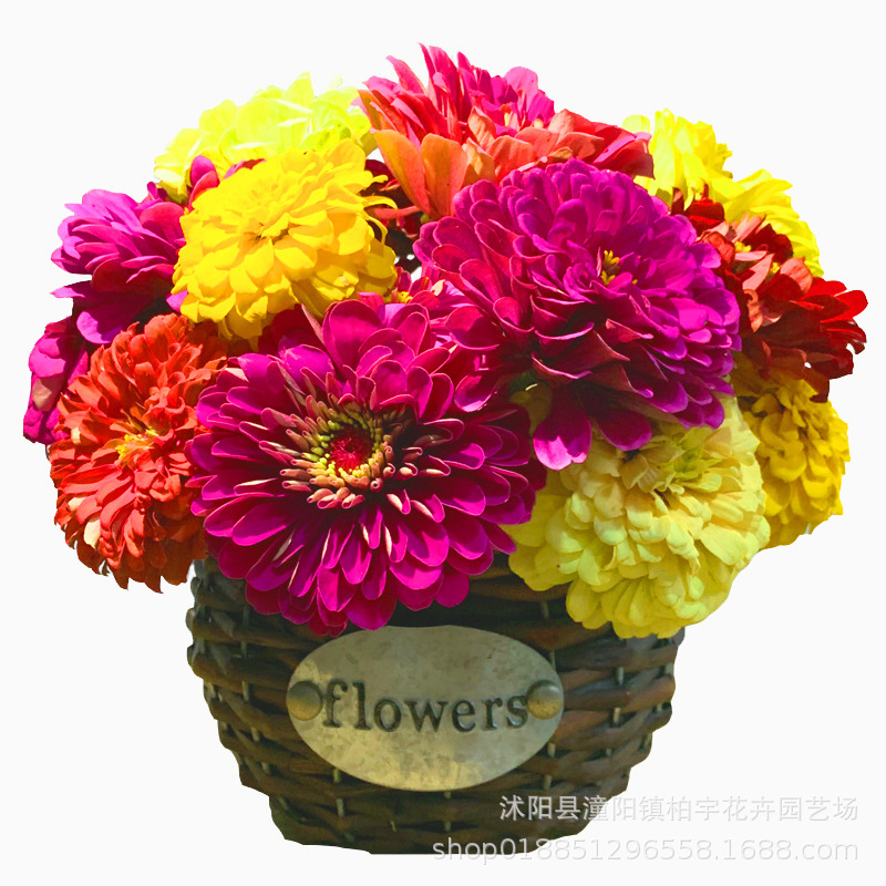 O1CN019yvVkf21Bm2M3N67M_!!2201