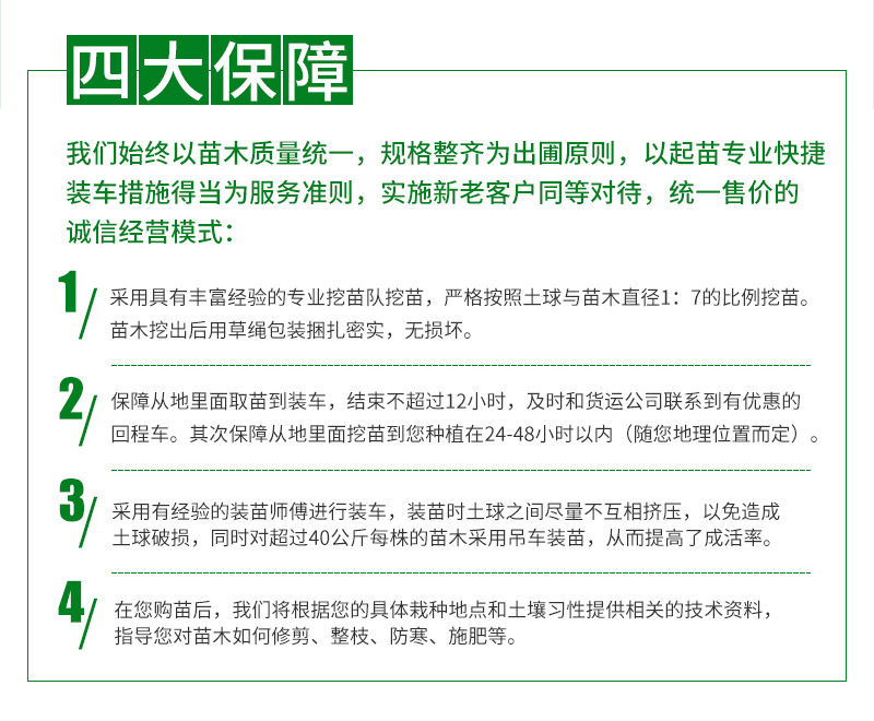 �ۻ��ҹ�-����_10