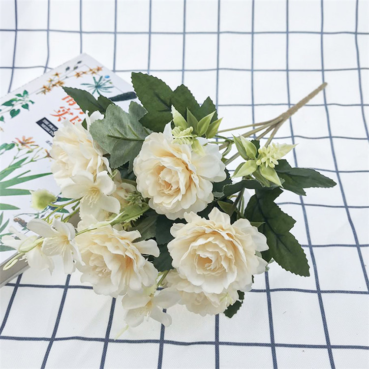 7头南方牡丹-主_12 (1).jpg