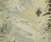 Leaves flowers khaki
