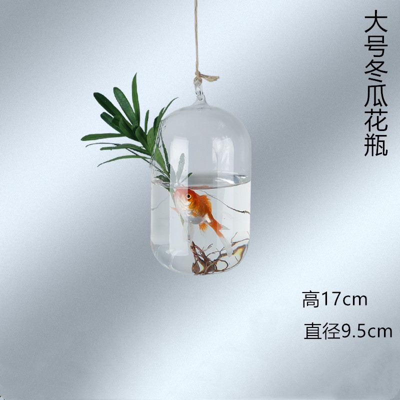 큰 왁스 조롱박