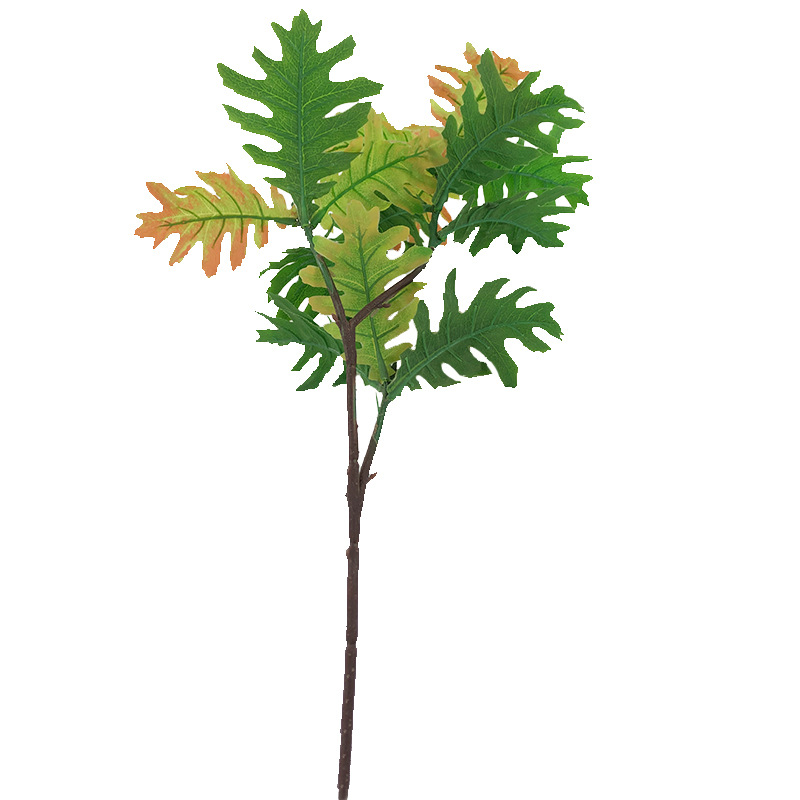 XRB-056 火轮树秋色三叉枝5 (3).jpg